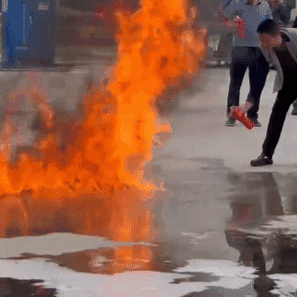 9d72a522-9dba-4799-9cf1-970e89484a79